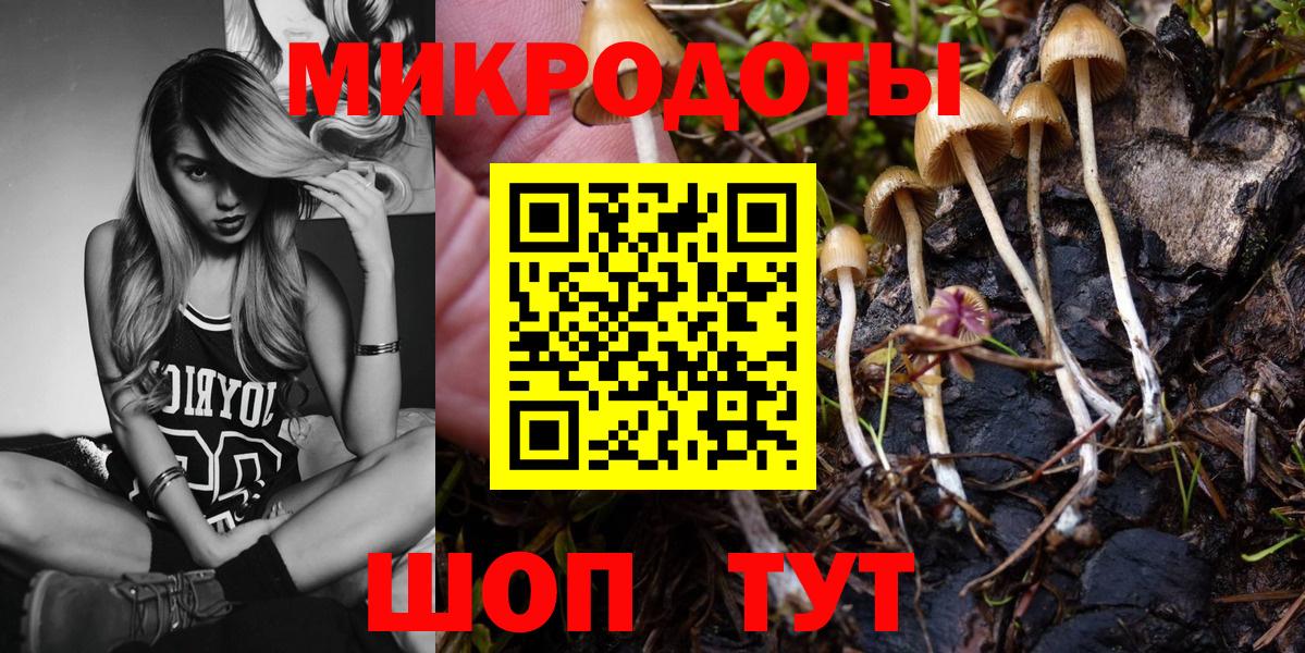 Псилоцибиновые грибы GOLDEN TEACHER Дзержинский