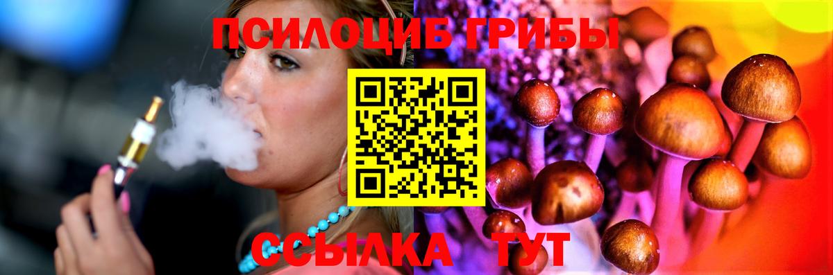 Дзержинский  Псилоцибиновые грибы Psilocybe  Вход с VPN  Галлюциногенные грибы мицелий 